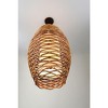Troy Lighting Balboa 1 - Light Sconce in  Bronze - 2 of 4