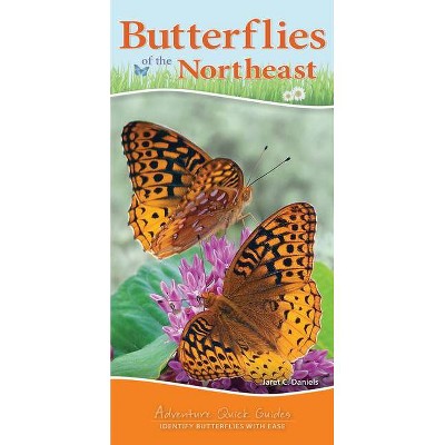 Butterflies of the Northeast - (Adventure Quick Guides) by  Jaret C Daniels (Spiral Bound)