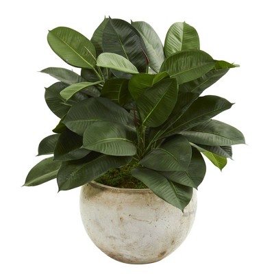 26" x 23" Artificial Rubber Plant in Stone Planter - Nearly Natural