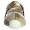 Aurora® Miyoni® Grey Holland Lop 5" Inch Stuffed Animal Toy - 3 of 4