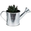 Northlight 4" X Pachyveria Succulent in Water Can Artificial Potted Plant - Green/Silver - 4 of 4