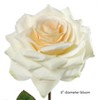 Floral Home 20" Stem Long Champagne Open Rose - 12-Piece - 2 of 2