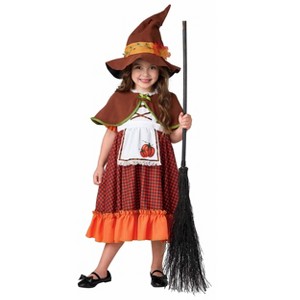HalloweenCostumes.com Cottage Harvest Witch Girl's Toddler Costume | Witch Costumes - 1 of 2
