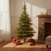 HomeRoots 8' Pre Lit Sparse Fir Christmas Tree - 2 of 4