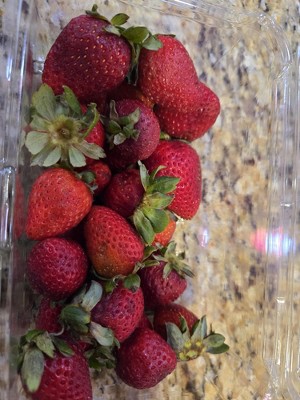 Guest review image 3 of 5, zoom in