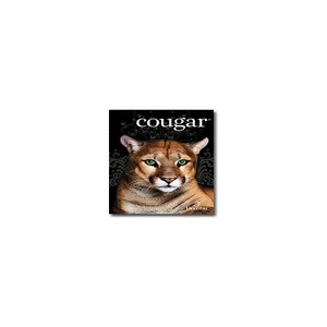 Domtar Cougar 11" x 17" 70 lbs. Digital Smooth Laser Paper White 2000/Case 2828CASE - 1 of 1