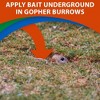 Monterey Go-DIE Gopher Animal Bait Pesticide, 1 Pound - 3 of 3