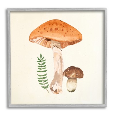 Stupell Industries Woodland Mushroom Botanical Fern Framed Giclee