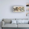 Canvas Wall Art - Sasha 'Dancing Horses' Wall Art for Living Room, Bedroom, or Office Décor by Trademark Fine Art - 19 x 10 Inches - 3 of 4