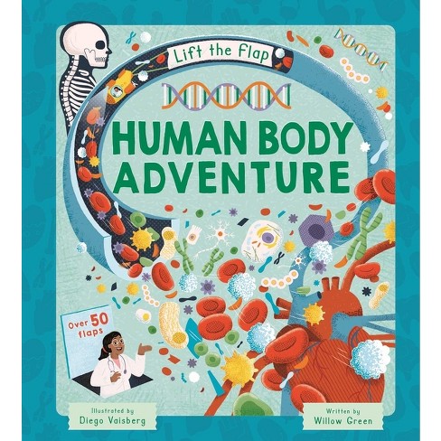 Lift-The-Flap Human Body Adventure - by  Igloobooks & Willow Green (Board Book) - image 1 of 1