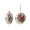 Transpac Glass 5.5 in. Multicolored Christmas Painted Winter Birds Ornament Set of 2 - 2 of 4