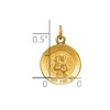 Black Bow Jewelry 14k Yellow Gold Solid St. Roch Medal Charm or Pendant - 4 of 4