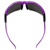 2 Pairs of Birdz Eyewear Flamingo Safety Glasses - 2 of 4
