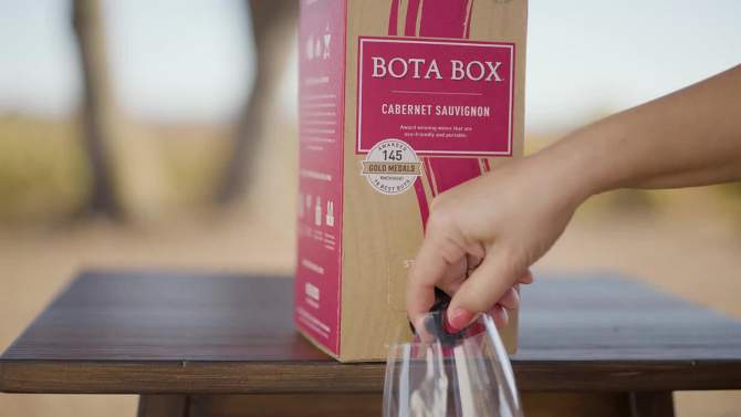 Bota Box Dry Rose Wine - 3L Box, 2 of 8, play video