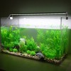 Unique Bargains Aquarium Fish Tank Plastic Plants Decor Kit 1 Set - 2 of 4