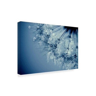 Trademark Fine Art -Beata Czyzowska Young 'Blues in the Evening' Canvas Art