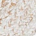 ivory/brown
