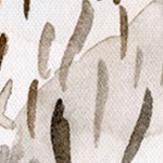 farmhouse gray