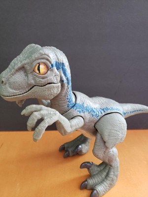 primal pal blue target