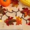 Novelty Lights 10 Light LED Christmas Craft Mini Light Set (5 Feet) - 3 of 4
