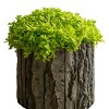 Slickblue Bark Texture Concrete Pot, Round Decorative Planter, 3 Size Options, Indoor/Outdoor Use - 3 of 4