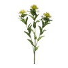 Thistle Spray Set Of 6 Green 34.75 Inch Faux Stems for Indoor Arrangements By Melrose - 2 of 3