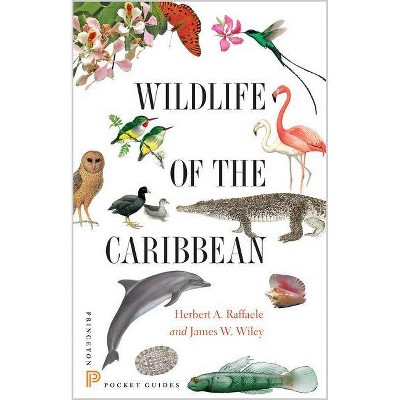 Wildlife of the Caribbean - (Princeton Pocket Guides) by  Herbert A Raffaele & James Wiley (Paperback)