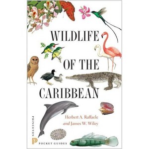 Wildlife of the Caribbean - (Princeton Pocket Guides) by  Herbert A Raffaele & James Wiley (Paperback) - 1 of 1