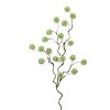 Snowball Floral Branch (Set of 6) - 2 of 2