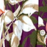 dark berry romantic rose