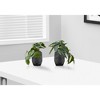 Artificial Plant, 8" Tall, Alocasia, Indoor, Faux, Fake, Table, Greenery, Potted, Set Of 2, Decorative, Green Leaves, Black Cement Pots - 2 of 4