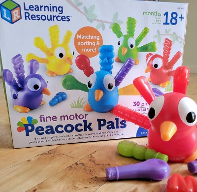 Learning Resources Counting Surprise Party, Homeschool, Fine Motor,  Counting & Sorting Toy, Ages 3+