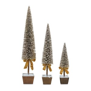 Melrose Potted Bottle Brush Tree (Set of 3) - 1 of 3