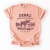 Simply Sage Market Denali National Park and Reserve Alaska EST. 1917 Garment Dyed Tee - 2 of 4