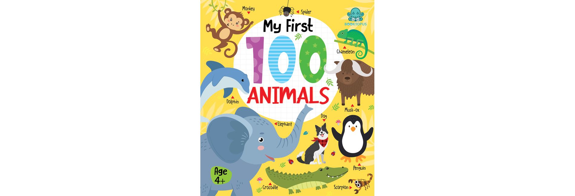 My First 100 Animals Board Book - (My First 100 Board Book) by  Booktopus