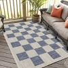 Playa Rug Daisy Rectangle Woven Indoor Outdoor Rugs - 3 of 4
