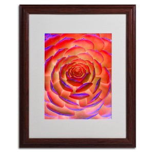 Trademark Fine Art -Patty Tuggle 'Plant Art' Matted Framed Art - 1 of 4