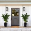Tall Planter Set of 2, Self Watering Pots, Large Flower Pot with Water Level Monitor, for Patio, Porch, Living Room, Home Office - 3 of 4