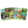 Junior Learning: Real World Phase 4 - Hi-Lo Decodable Books, 6 Set, Kids Reading - 2 of 4