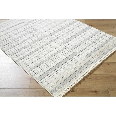 Hauteloom Astrid Living Room, Bedroom Area Rug - Contemporary