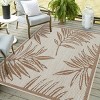 Playa Rug Liana Rectangle Woven Indoor Outdoor Rugs - 4 of 4