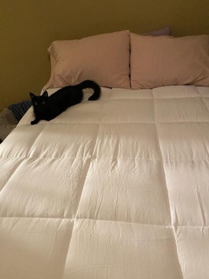 Guest review image 1 of 3, zoom in