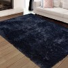Fluffy Area Rug- Shag Area Rug for Living Room, Shaggy Large Indoor Thick Living Room Carpet with Non-Slip Backing, Soft Plush Carpet - 2 of 4