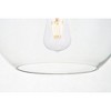 Elegant Lighting Baxter 1 Light brass plug-in pendant With Clear Glass - 4 of 4