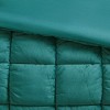 Kumasinova 2/3 PCS Velvet Comforter Set,Quilt Set with Comforter&Sham,Bedding Set with 3D Puff Stitching,Machine Washable - 4 of 4