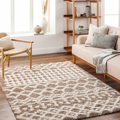 Hauteloom Kato Shag Area Rug