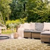 Courtyard CY6032 UV & Stain Resistant Non-Shedding Power Loomed Indoor/Outdoor Rugs - Safavieh - 3 of 4
