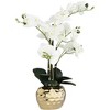 Dahlia Studios Potted Faux Artificial Flowers Realistic White Orchid in Gold Pot with Round Riser Home Decor Living Room 23" High - image 4 of 4