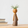 Halloween It's Giving Ghoul Pumpkin Live Houseplant - Good Little Garden™ - 4 of 4