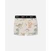 Deux par Deux Boy Printed Organic Cotton Boxer Shorts Dinosaur on Mottled and Tan Background - 2 of 3